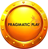 4_Provider-Pragmatic